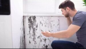 WhatsApp Image 2025-12-17 at 10.26.23 PM